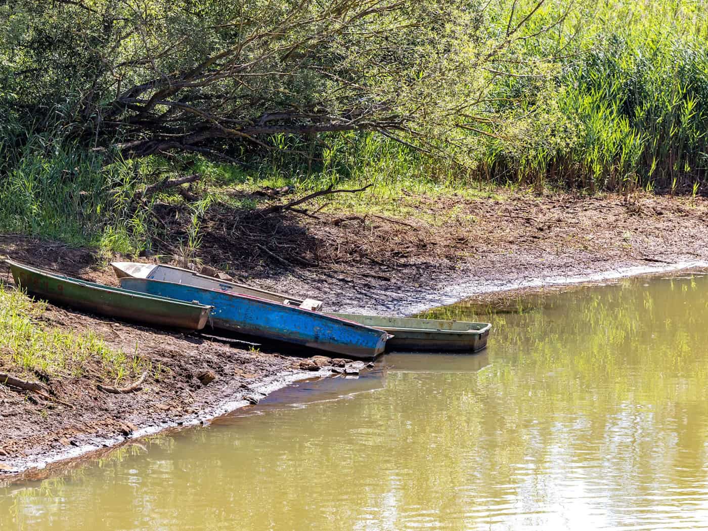 Niedrigwasser in Süd-Brandenburg: Behörden drosseln Abflüsse in Spree und Spreewald