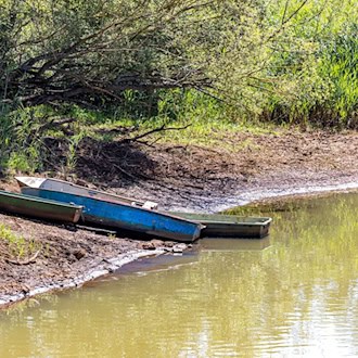 Niedrigwasser in Süd-Brandenburg: Behörden drosseln Abflüsse in Spree und Spreewald