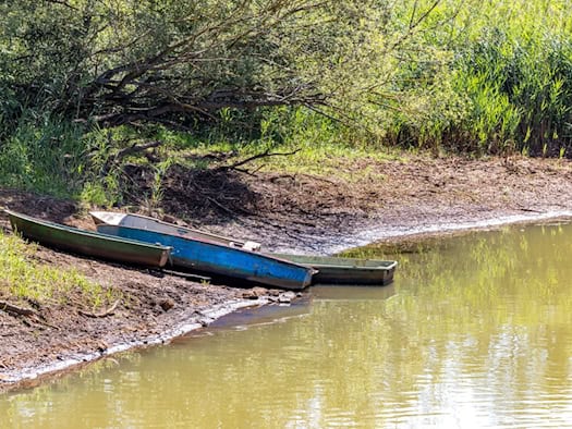 Niedrigwasser in Süd-Brandenburg: Behörden drosseln Abflüsse in Spree und Spreewald