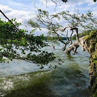 Stechlinsee: Wasserqualität verbessert sich weiterhin