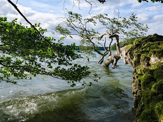 Stechlinsee: Wasserqualität verbessert sich weiterhin