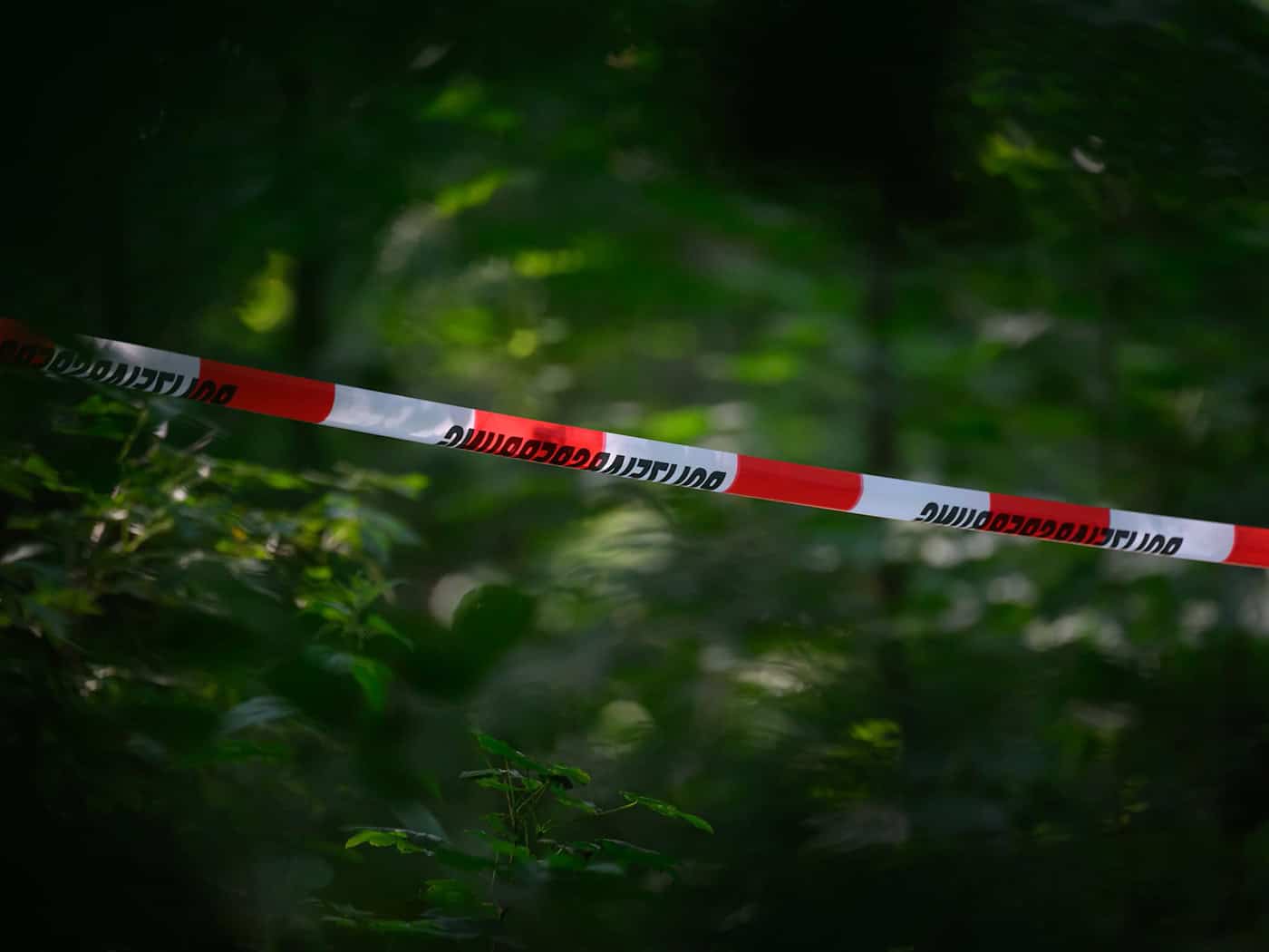 Waffenfund bei Berlin: Ermittler prüfen Agenten-Verdacht