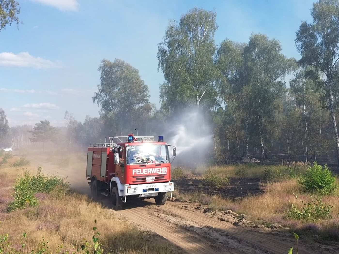 Waldbrandgefahr steigt in Brandenburg wieder an