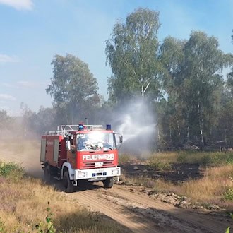 Waldbrandgefahr steigt in Brandenburg wieder an