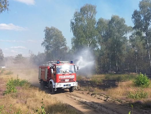 Waldbrandgefahr steigt in Brandenburg wieder an