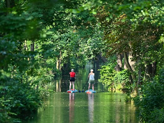 Was gilt beim SUP-Fahren auf Brandenburgs Gewässern?