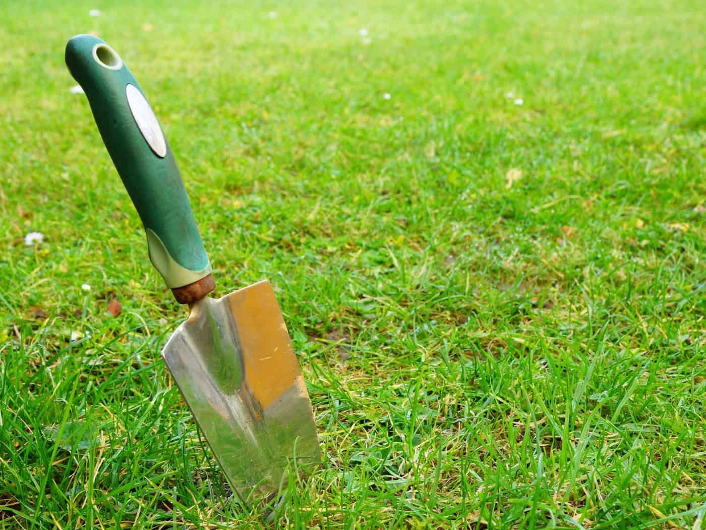 Handspaten mit grünem Griff steckt in grünem Rasen mit gelblichen Stellen
