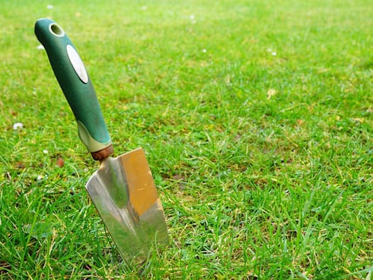 Handspaten mit grünem Griff steckt in grünem Rasen mit gelblichen Stellen