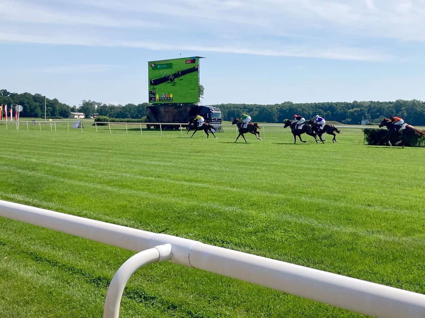 Außenseiter Amigo Charly gewinnt in Hoppegarten