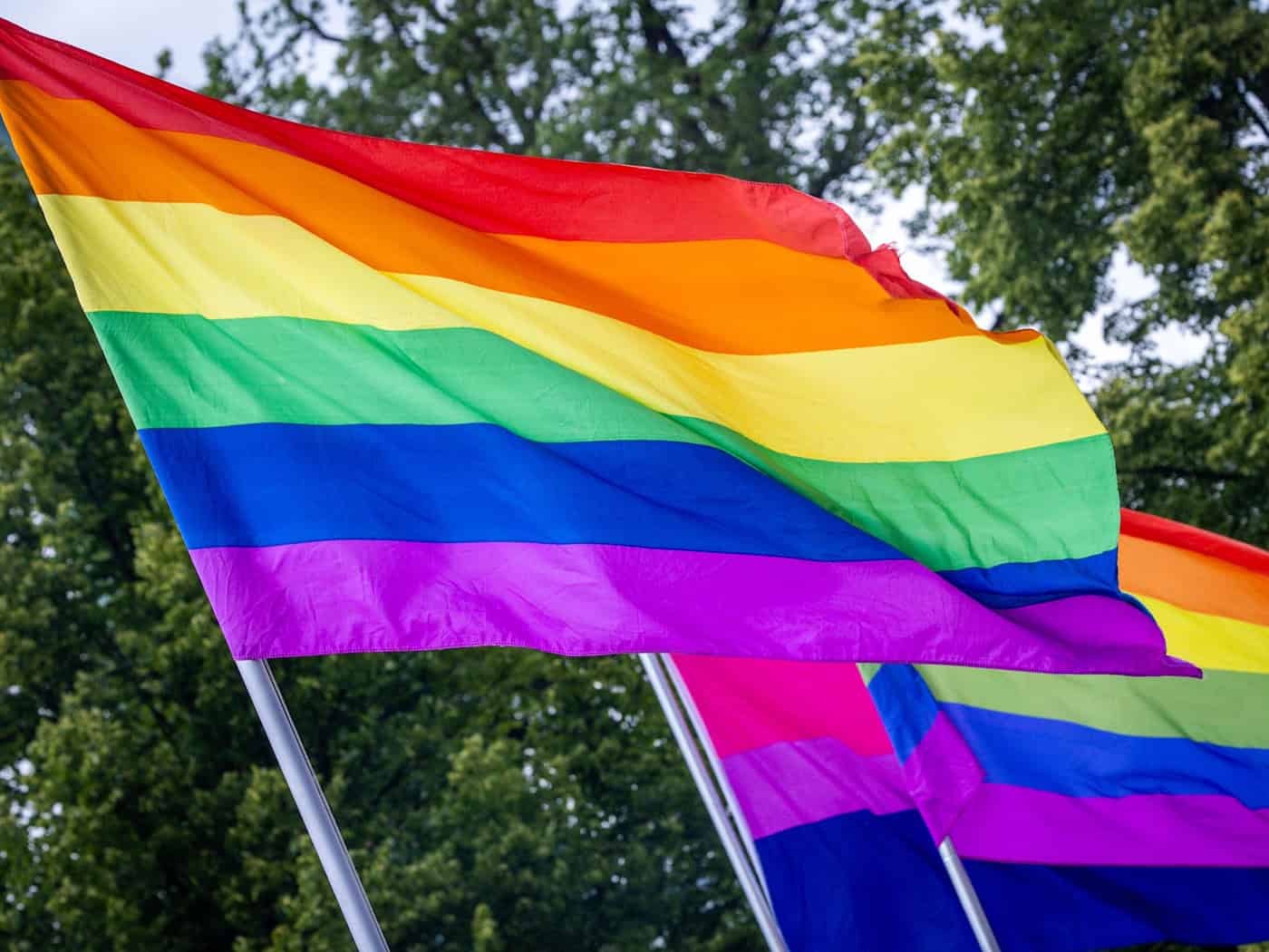 Neonazi-Gruppierung ruft zu Gegenprotest gegen CSD in Bernau (Barnim) auf
