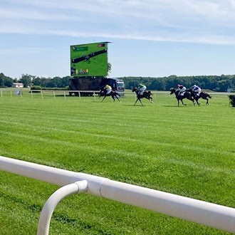 Setzt Daring Fire seine Siegesserie in Hoppegarten fort?