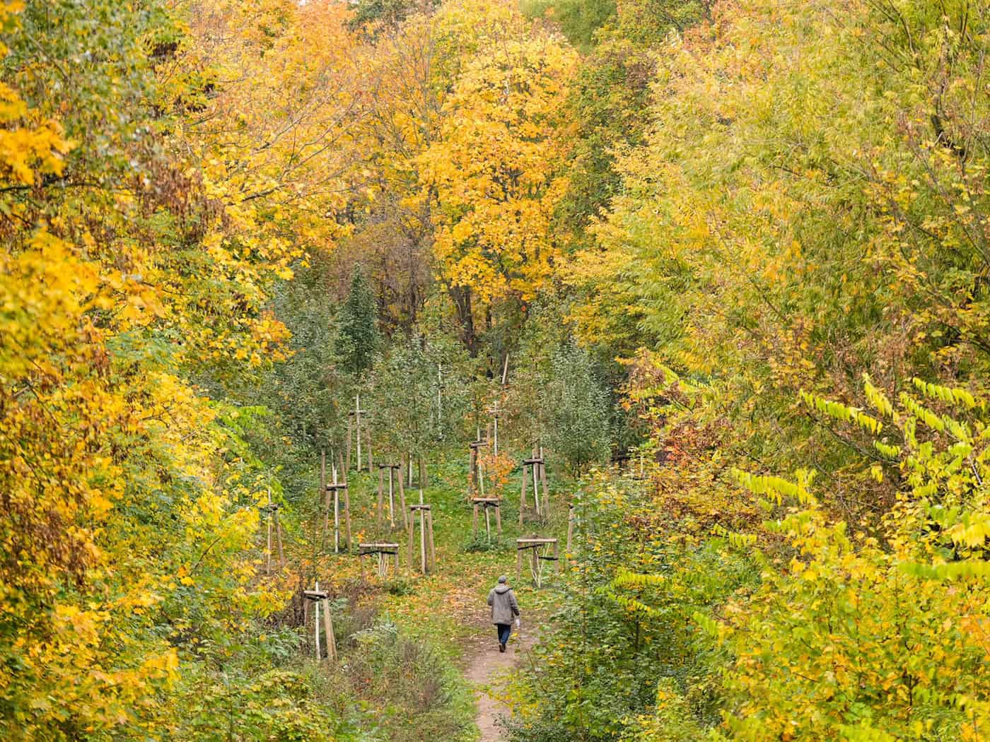 Berlin kennzeichnet 575 km Wanderwege mit grünen Wegweisern