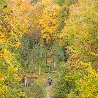 Berlin kennzeichnet 575 km Wanderwege mit grünen Wegweisern
