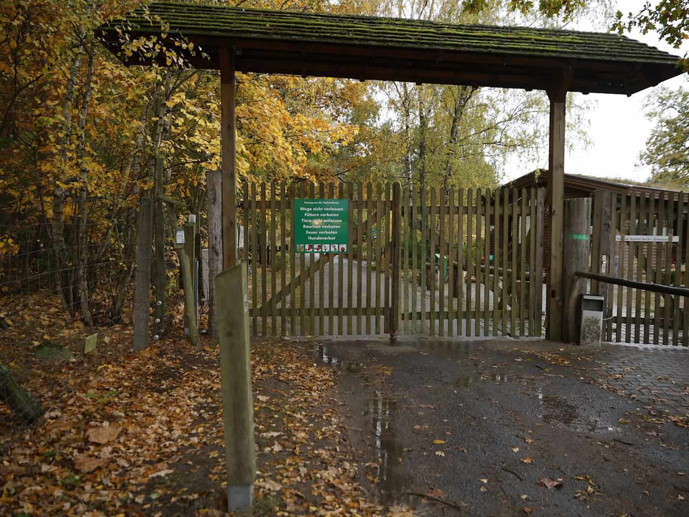 Wolfsattacke in Wildpark bei Baruth/Mark: Achtjähriges Mädchen schwer verletzt – Park bleibt geschlossen