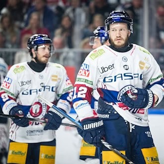Eisbären treten mit «breiterer Brust» gegen München an