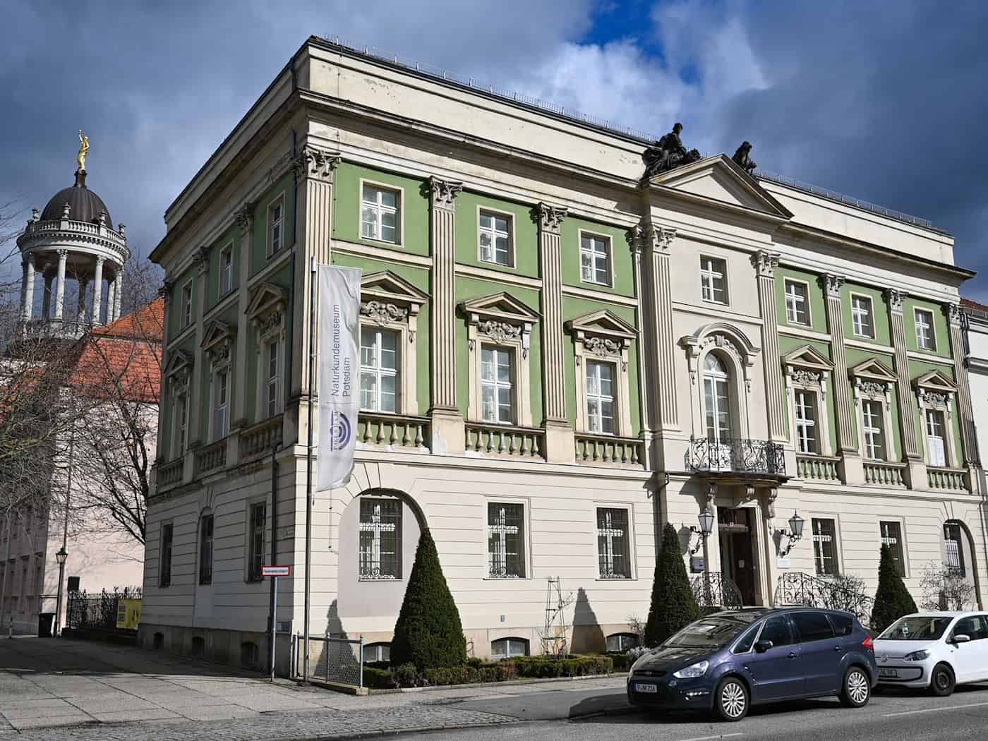 Pilzberatung und Frischpilz-Ausstellung im Naturkundemuseum Potsdam