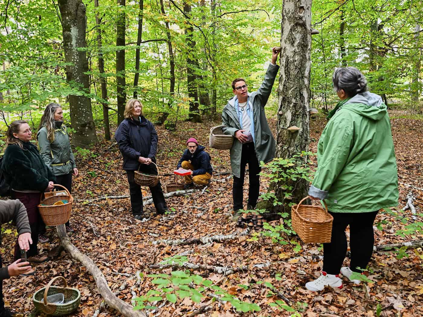 Pilzkurs in Templin: Wenn Bildungsurlaub in den Wald führt