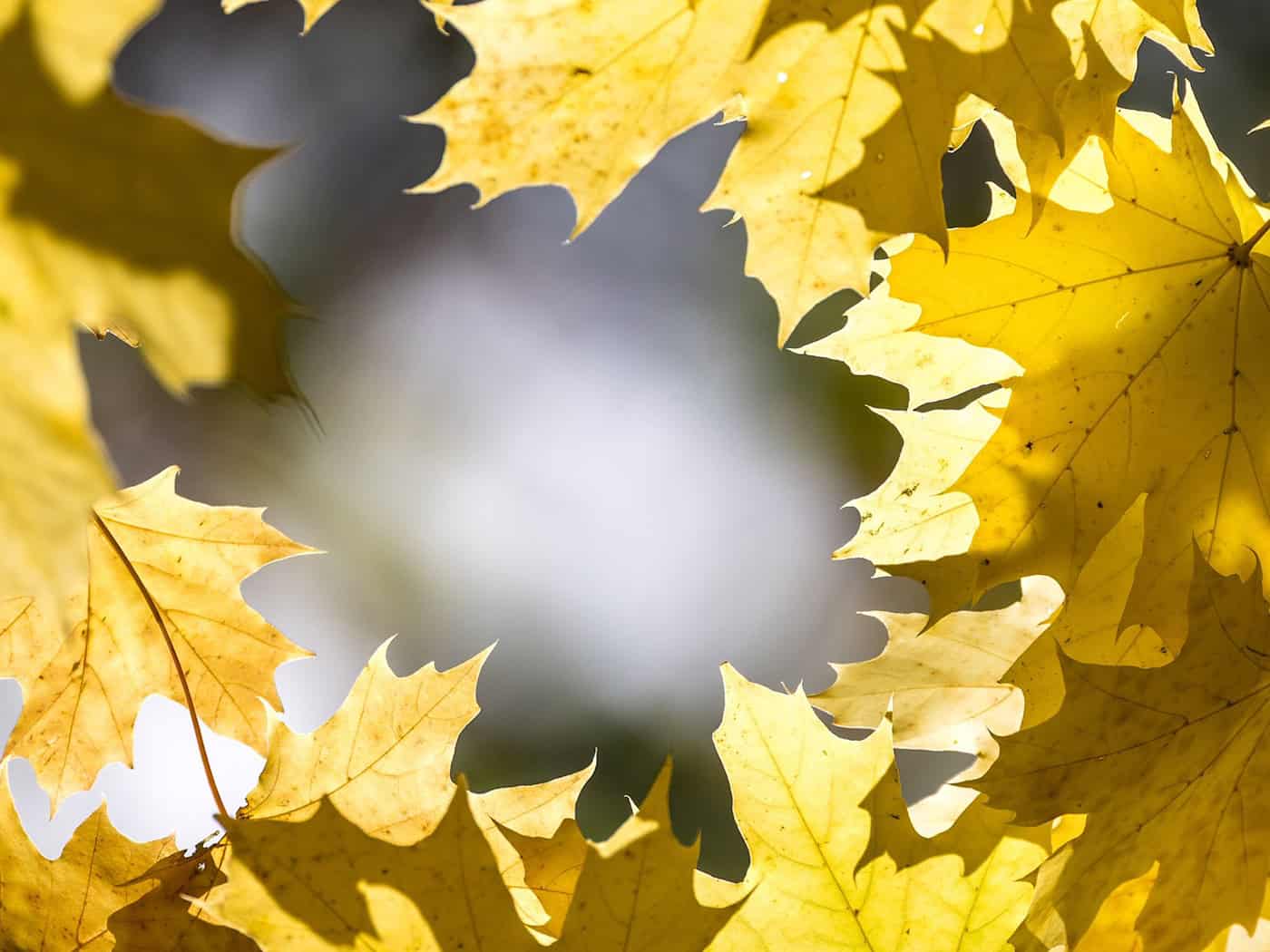 Sonne und milde Temperaturen für Berlin und Brandenburg