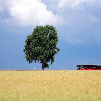 Spree-Neiße mit schlechtester Anbindung an Nahverkehr