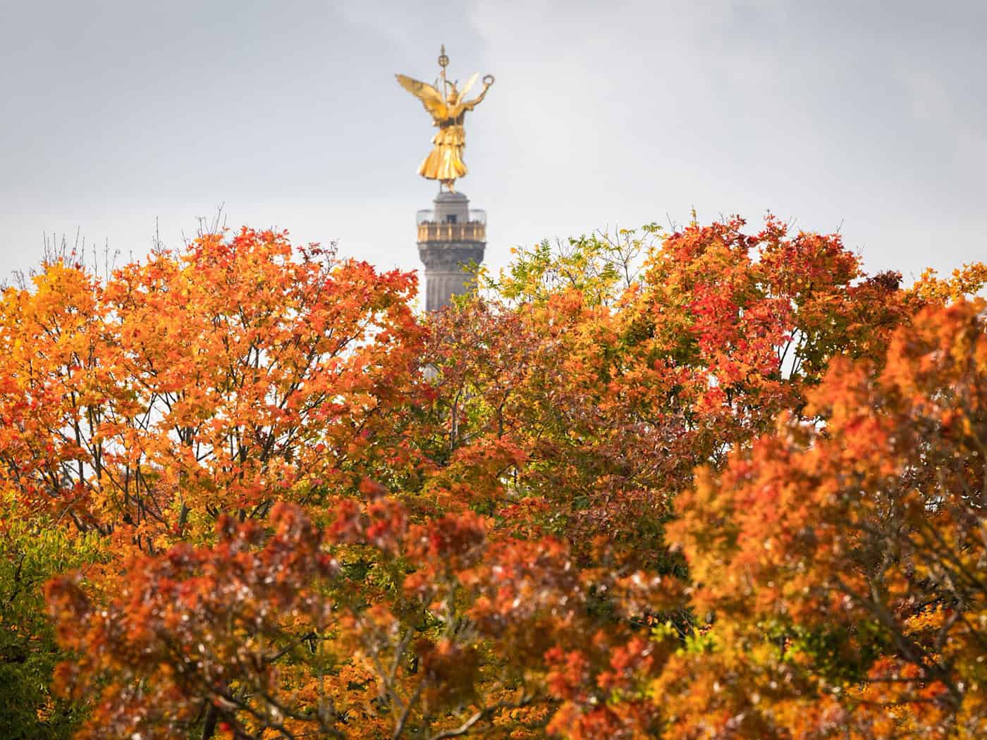 Trübes Wochenende in Berlin und Brandenburg: Wolken, Nebel und 8–12 Grad