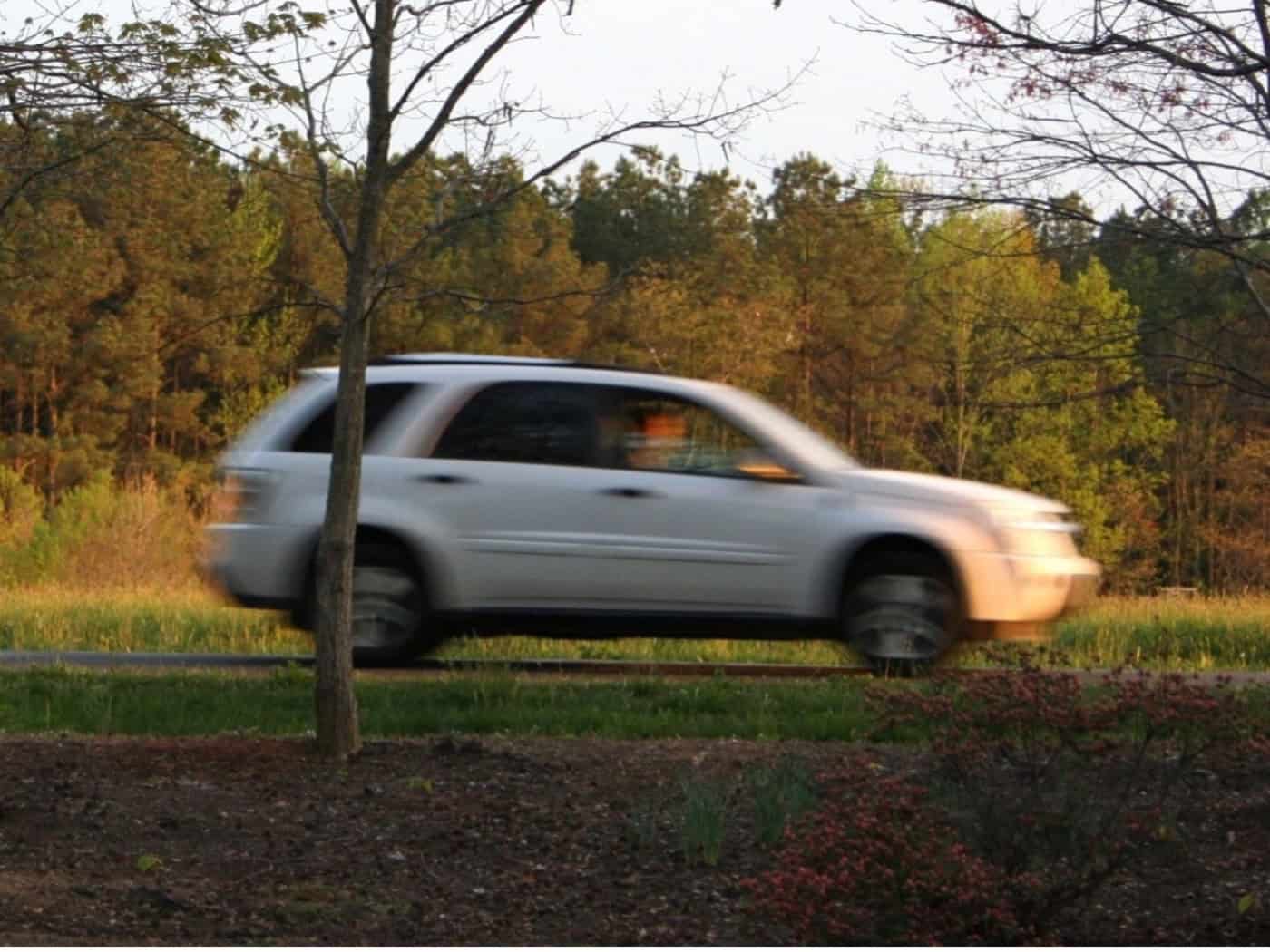 Wildwechsel im Herbst: Warum Autofahrer in Brandenburg jetzt besonders aufpassen müssen