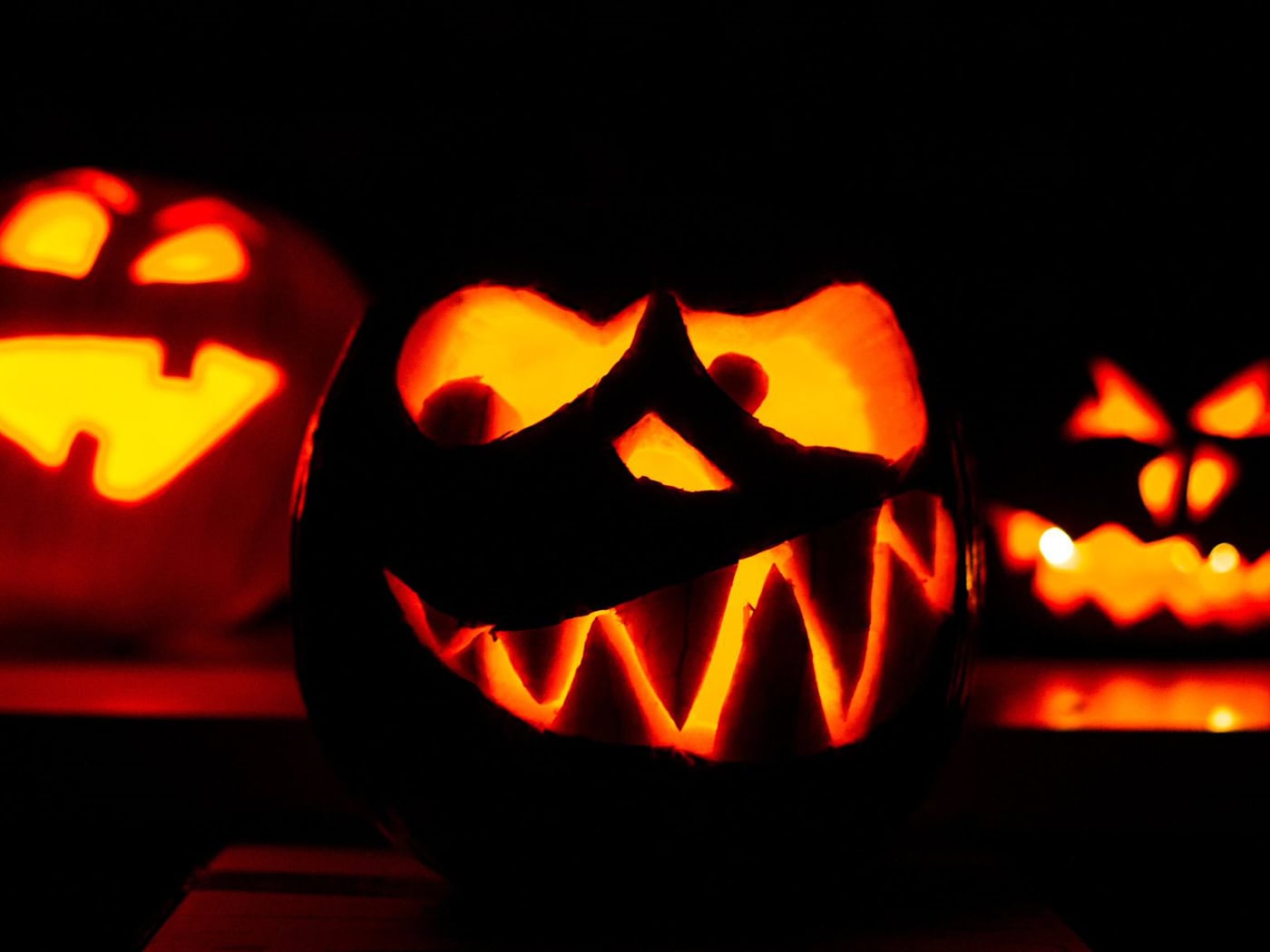 Halloween in Berlin und Brandenburg: Zoos, Parks und Gruselangebote am 31. Oktober