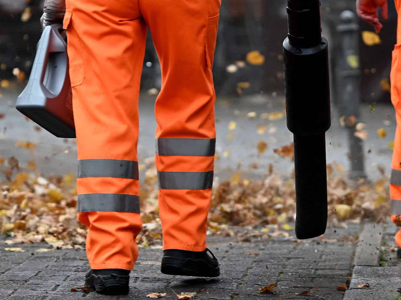 Zehntausende Tonnen Laub - BSR beginnt mit Aufsammeln