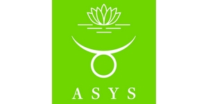 ASYS Automatic Systems GmbH & Co. KG