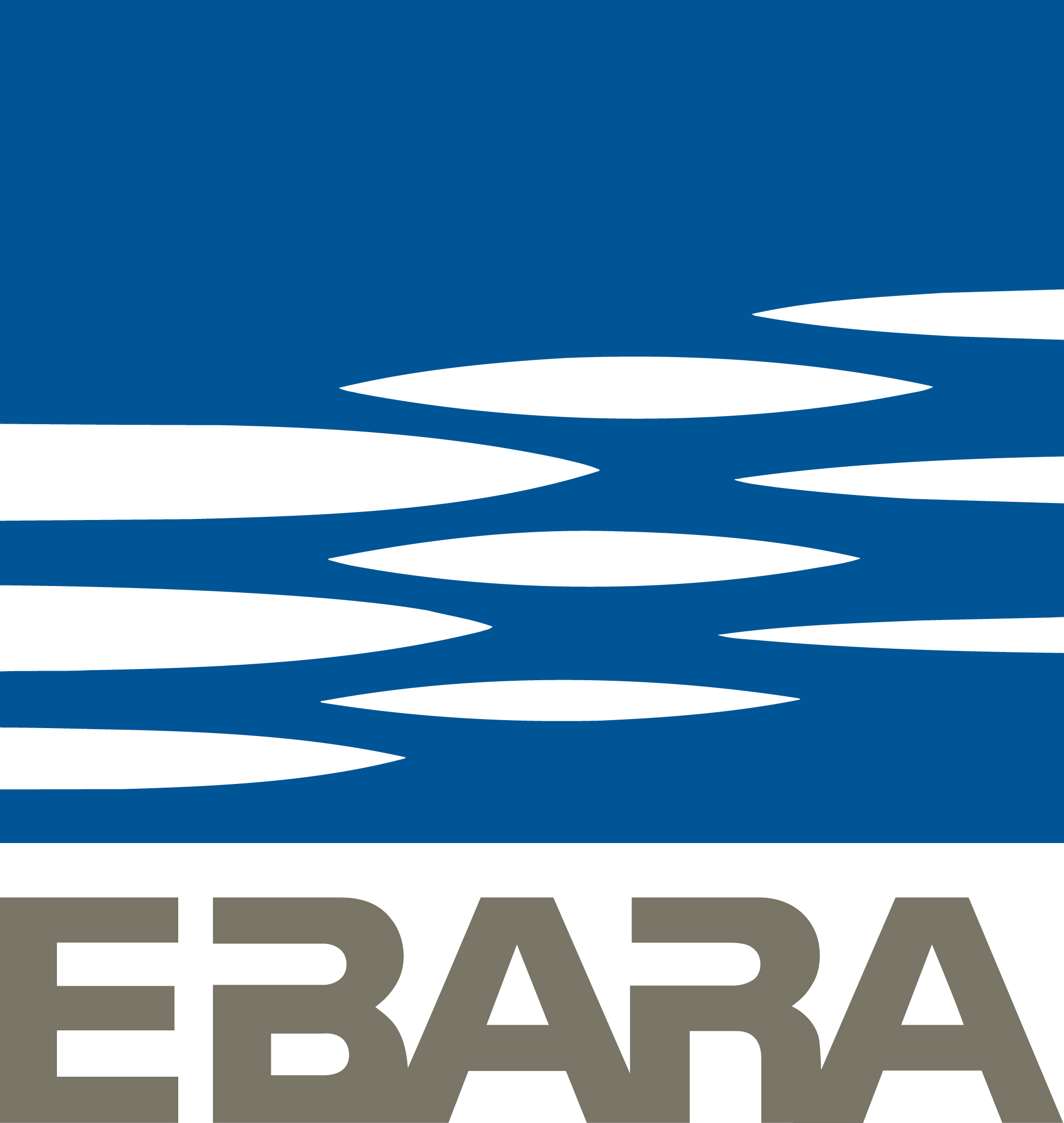 EBARA Precision Machinery Europe GmbH