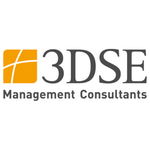 3DSE Management Consultants GmbH
