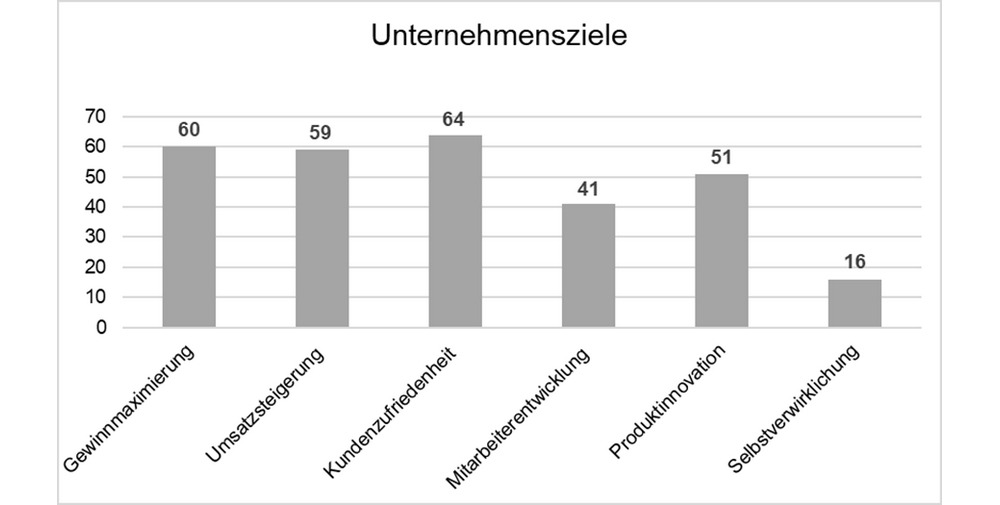 Hochschule Zittau/Görlitz: Wie tickt Gen Z? Eine Analyse von Wertvorstellungen