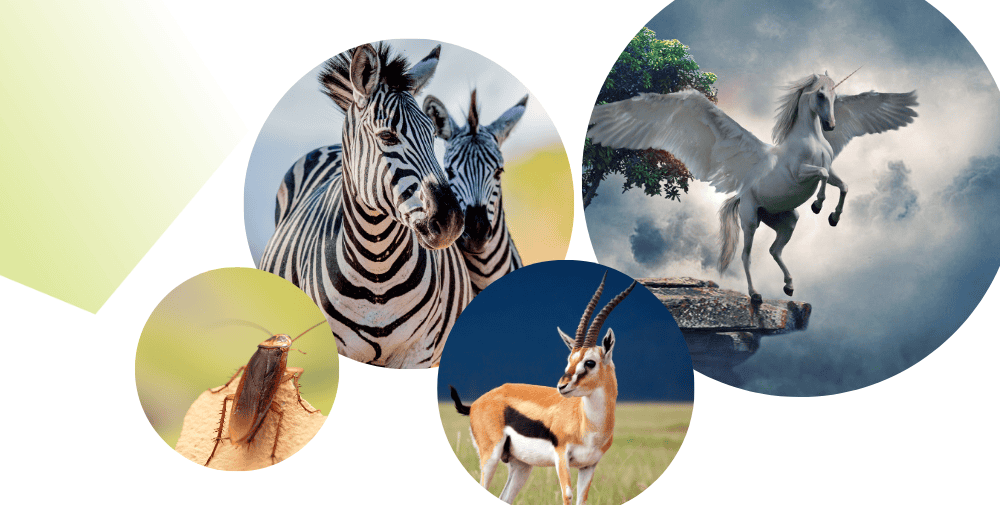 Zebra, Einhorn oder Kakerlake – Tierische Softwareunternehmen