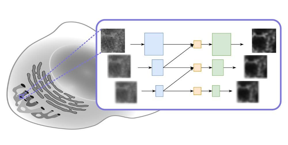 HZDR: Neue Deep-Learning-Architektur sorgt für höhere Effizienz im Vergleich zu bisherigen Methoden