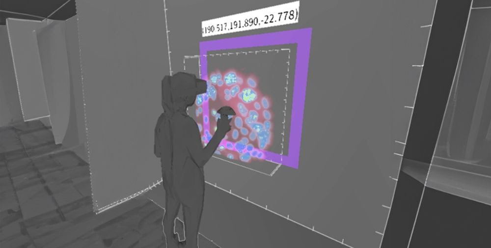 HZDR: Neue Methode für interaktives Mikroskopieren in 3D