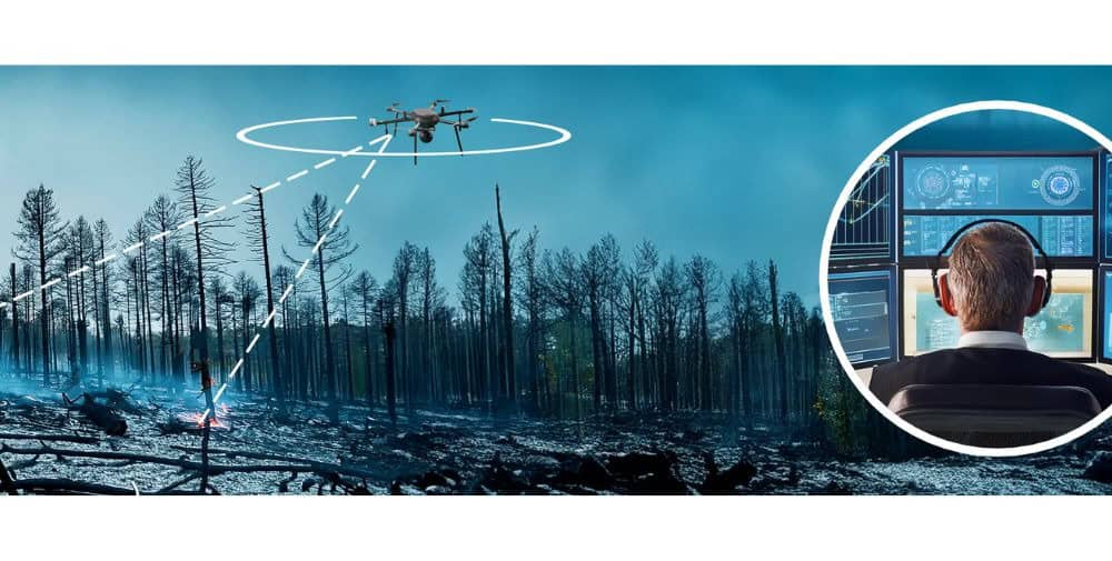 Fraunhofer IZM: Drohnen spüren Glutnester in Wäldern auf