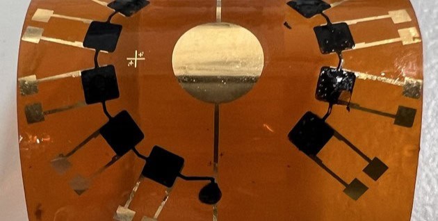 TU Dresden: New material from Dresden for bioelectronics: Conductive hydrogel controls electrical and biochemical signals