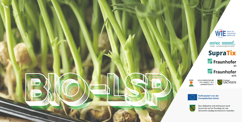 SupraTix ML startet im Projekt Bio-LSP die Entwicklung eines Foundation Models für Saatgut