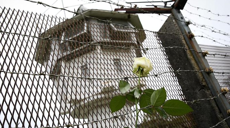 Eine weiße Rose steckt im ehemaligen Grenzzaun. Foto: David-Wolfgang Ebener/dpa/Archivbild
