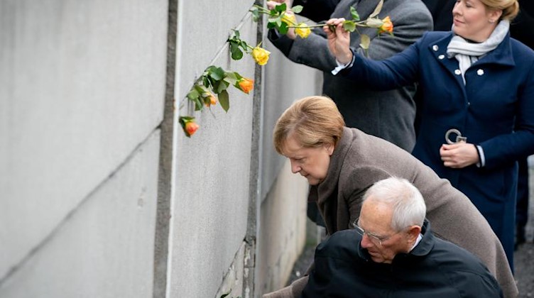 Angela Merkel (2. v.v., CDU) steckt gemeinsam mit weiteren Politikern Rosen in Mauerspalten. Foto: Kay Nietfeld/dpa