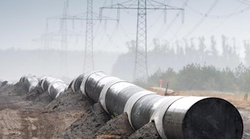 Rohre für die Europäische Gas-Anbindungsleitung Eugal liegen auf einer Trasse. Foto: Soeren Stache/zb/dpa
