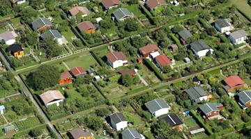Eine Kleingartenkolonie in Dresden mit Datschen und vielen Grünflächen. Foto: Matthias Hiekel/dpa-Zentralbild/dpa/Archivbild