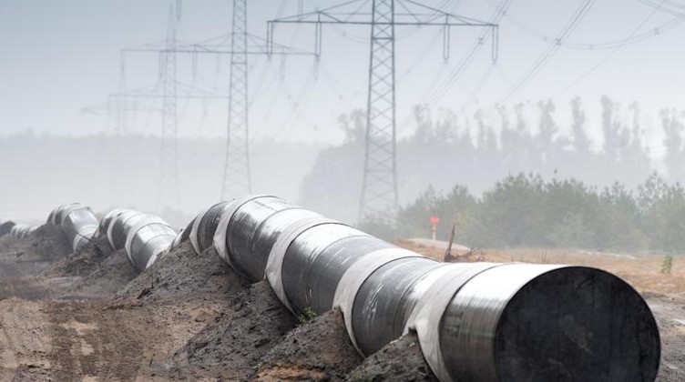 Rohre der Gaspipeline Eugal liegen an einem Waldrand. Foto: Soeren Stache/zb/dpa/Archivbild