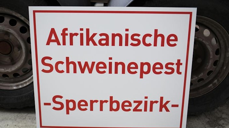 Ein Schild verweist auf einen Schweinepest-Sperrbezirk. Foto: Frank Rumpenhorst/dpa/Symbolbild