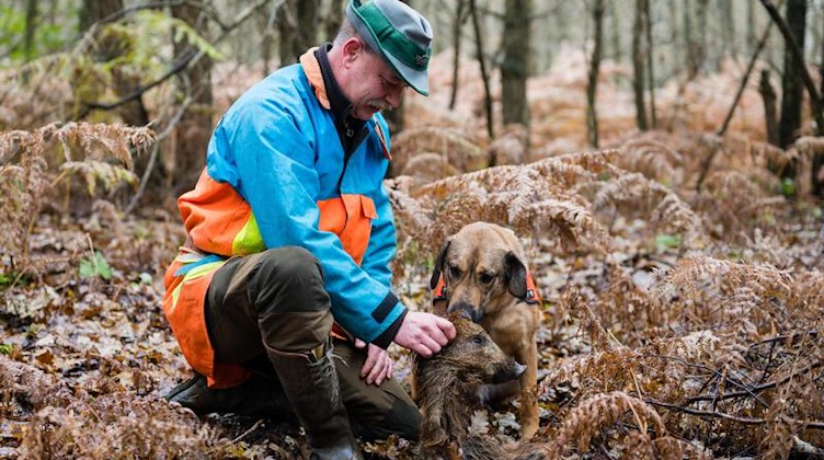 René Wiese hält ein Stück Wildschwein, das sein Hund Otto beim Training im Wald gefunden hat. Foto: Oliver Dietze/dpa