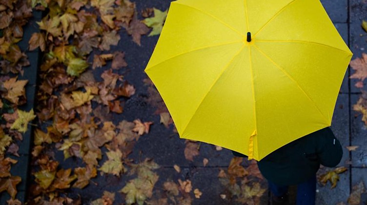 Eine Person läuft mit einem Regenschirm auf einem Gehweg. Am Boden liegen herbstlich verfärbte Blätter. Foto: Tom Weller/dpa