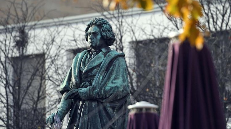 Das Beethoven-Denkmal auf dem Münsterplatz erinnert an den Komponisten Ludwig van Beethoven. Foto: Henning Kaiser/dpa/Archivbild