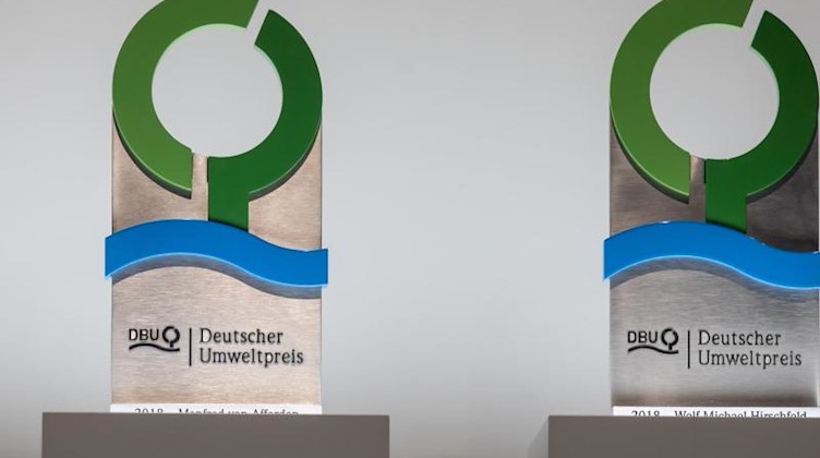 Die Pokale für die Preisträger des Umweltpreises der Deutschen Bundesstiftung Umwelt (DBU). Foto: Michael Reichel/zb/dpa/Archivbild