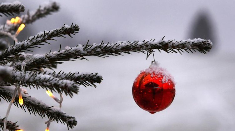 Ein geschmückter Weihnachtsbaum steht in einem Garten. Foto: Karl-Josef Hildenbrand/dpa/Archiv