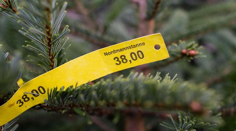 Ein Preisschild hängt an einer Nordmanntanne. Foto: Julian Stratenschulte/dpa/Archiv