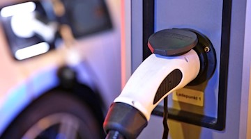 Ein elektrisch angetriebenes Auto lädt an einer Ladesäule. Foto: Jan Woitas/dpa-Zentralbild/dpa/Archivbild